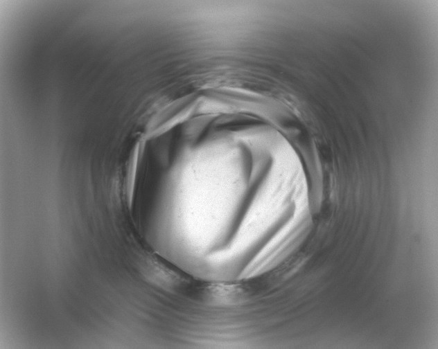 X0000065990333200603242012