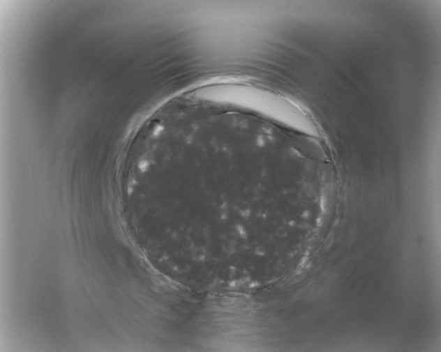 X0000065990337200603242011