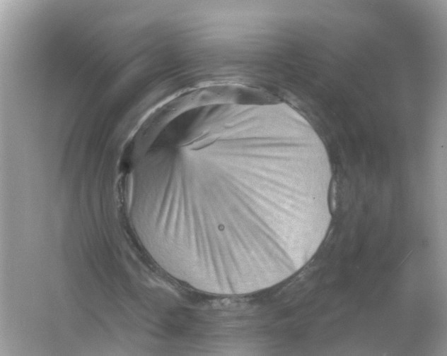 X0000065990338200603242011