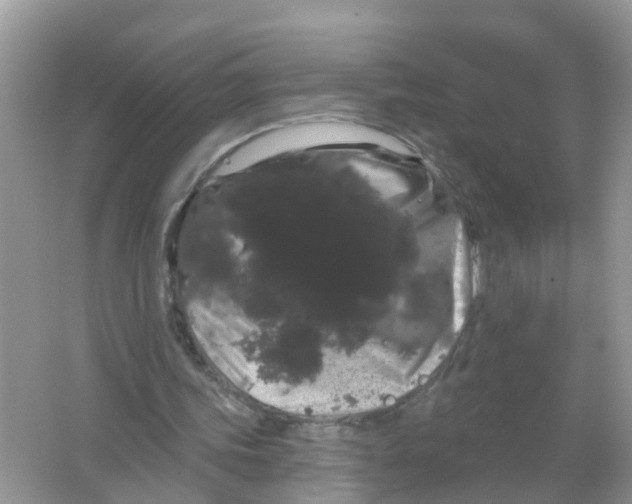 X0000065990339200603242011