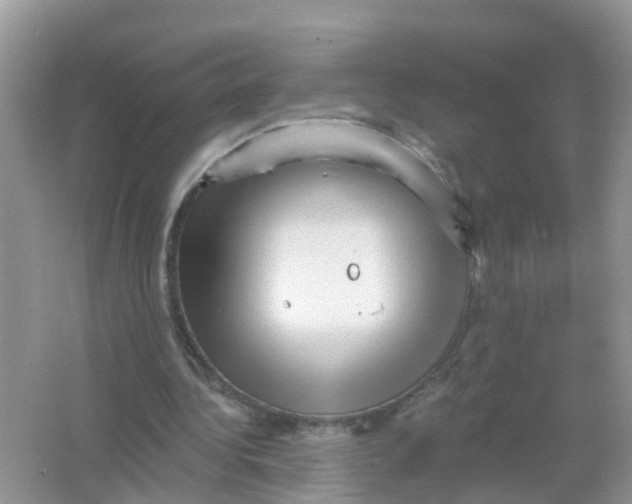 X0000065990340200603242011