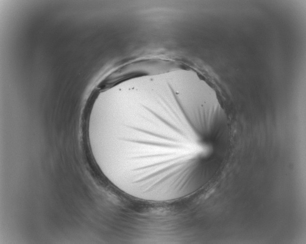 X0000065990344200603242011