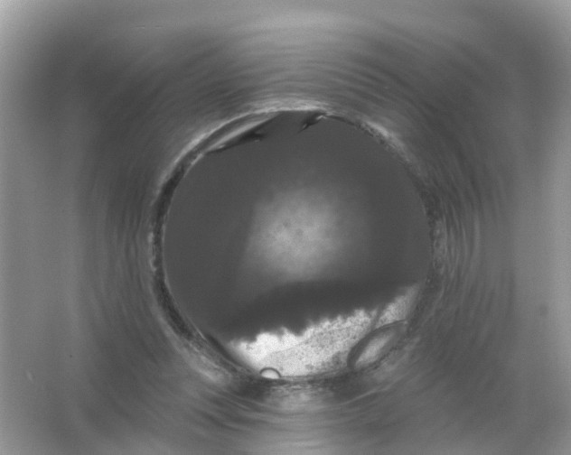 X0000065990351200603242011