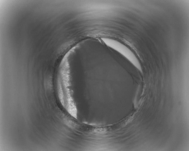 X0000065990353200603242011