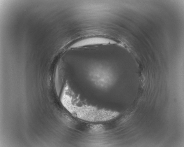 X0000065990355200603242011