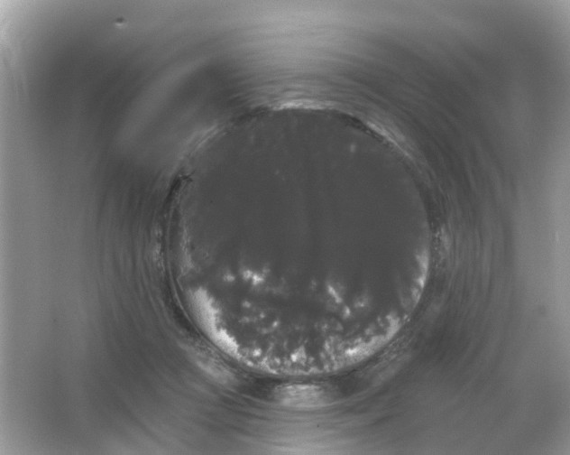 X0000065990361200603242011