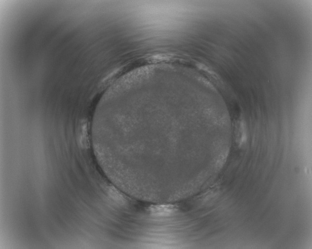 X0000065990378200603242012