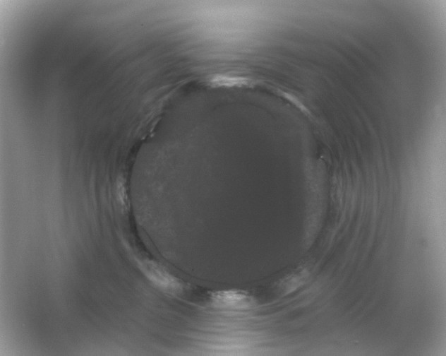 X0000065990380200603242012