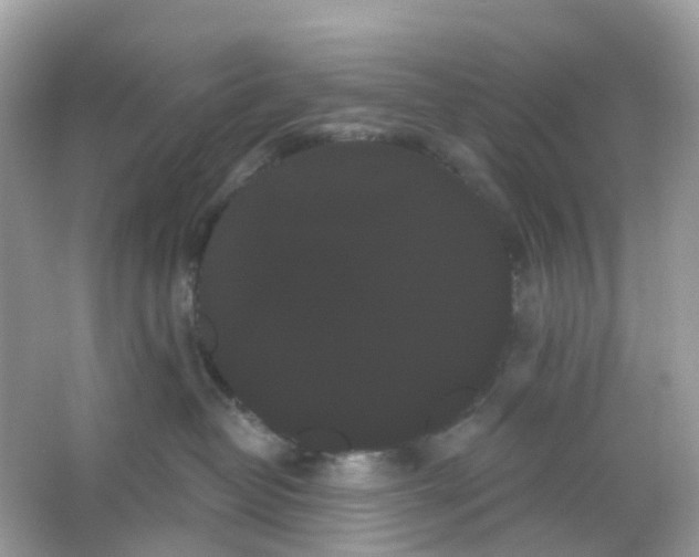X0000065990382200603242012
