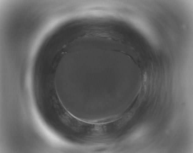 X0000065990383200603242012