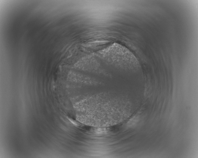 X0000065990384200603242012