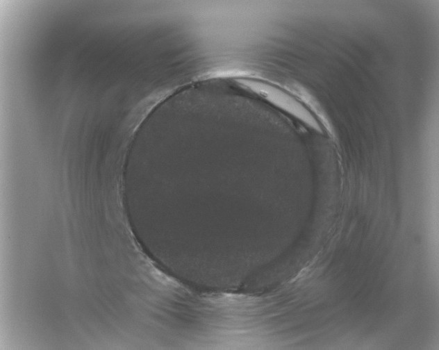X0000065990385200603242011