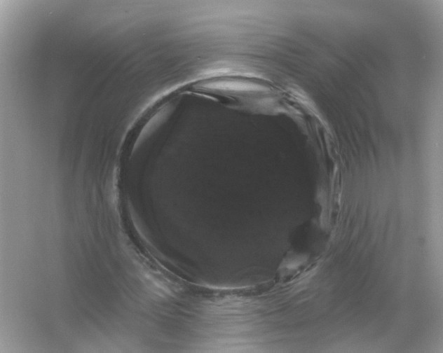 X0000065990387200603242011