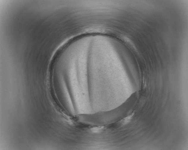 X0000065990388200603242011