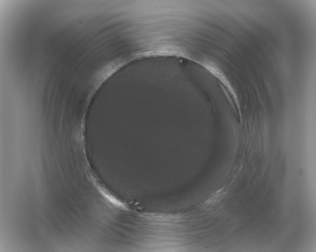 X0000065990389200603242011