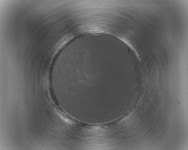 X0000065990390200603242011