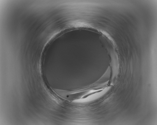 X0000065990391200603242011