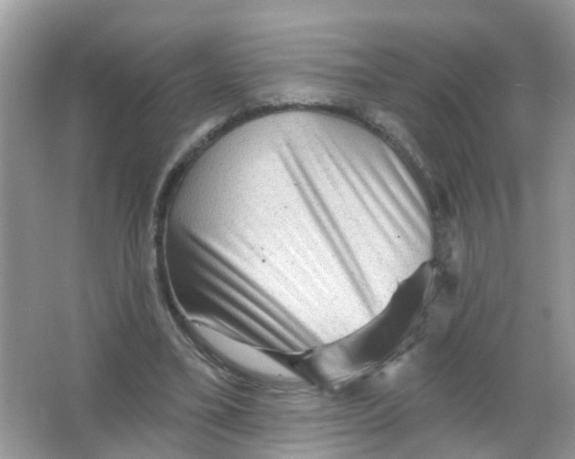 X0000065990395200603242011
