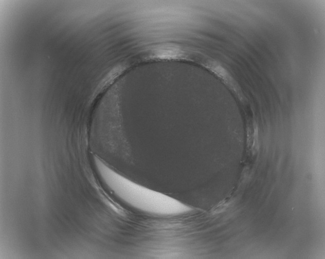 X0000065990397200603242011