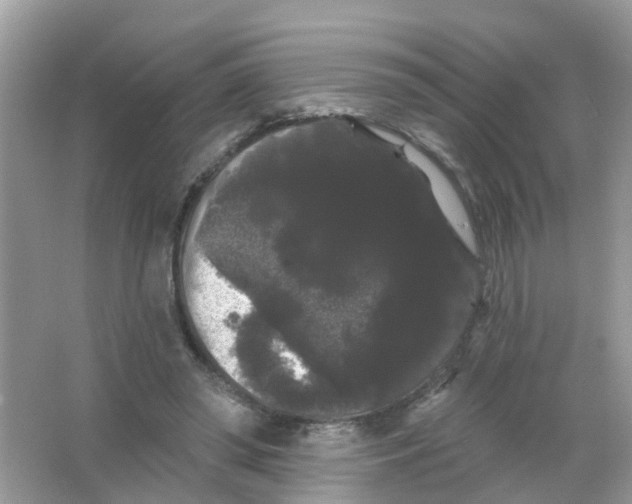 X0000065990398200603242011