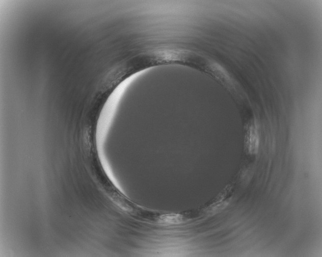 X0000065990410200603242010