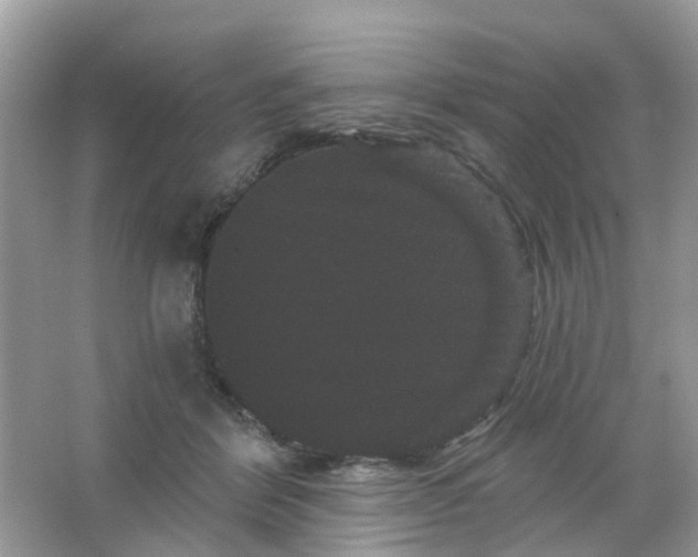 X0000065990412200603242010