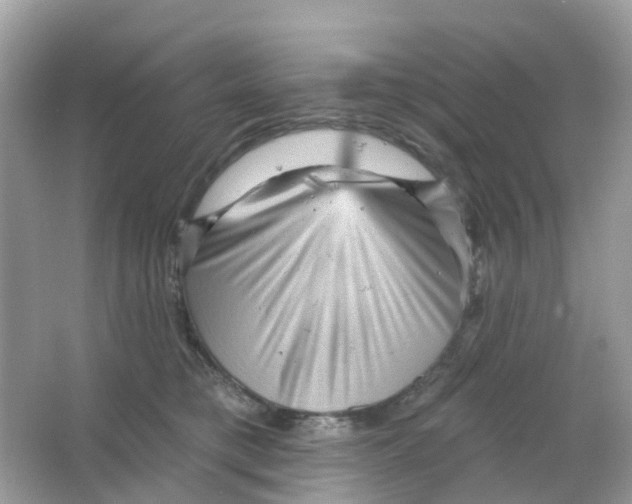 X0000065990421200603242010
