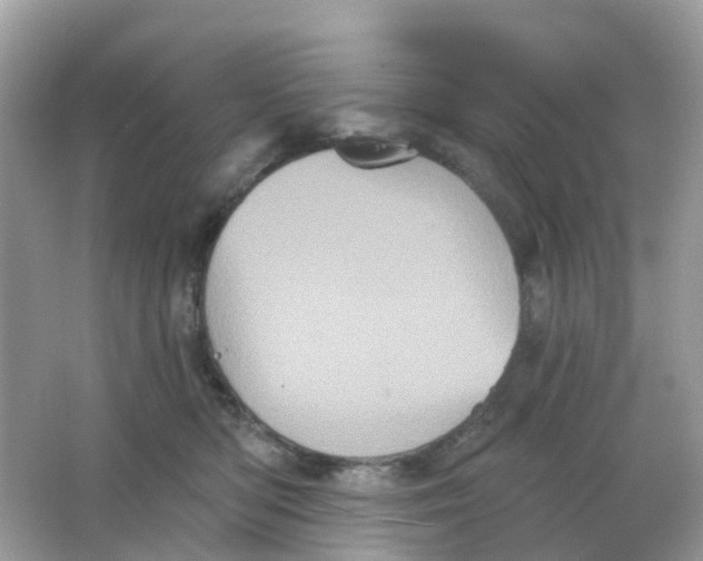 X0000065990422200603242010