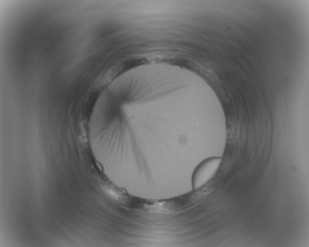 X0000065990430200603242010