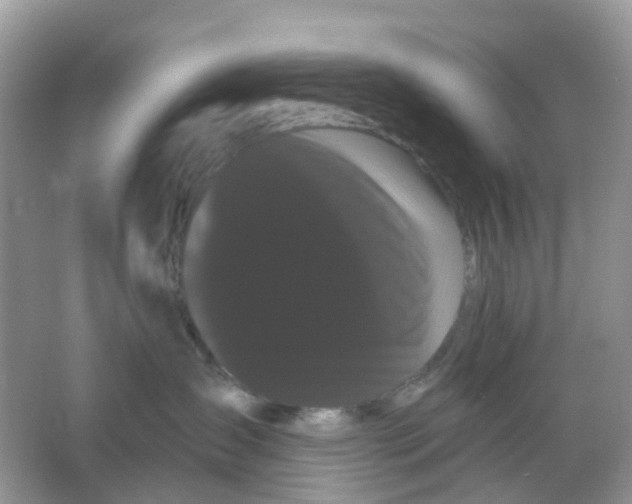 X0000065990431200603242010