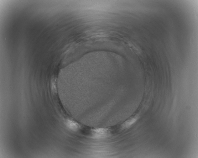 X0000065990432200603242010