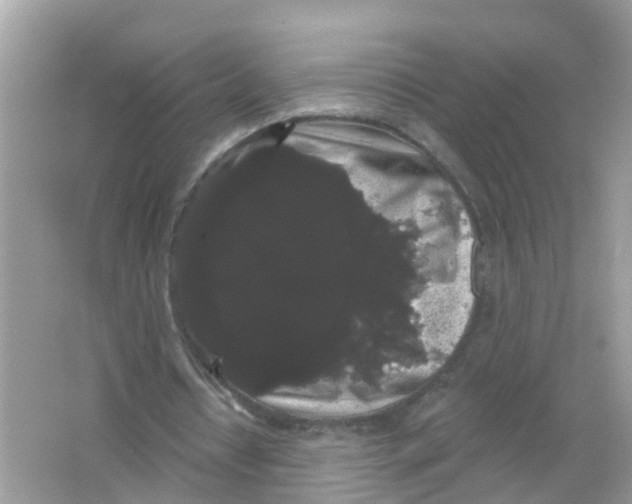 X0000065990434200603242009