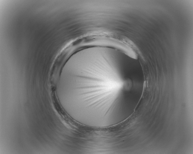 X0000065990436200603242009