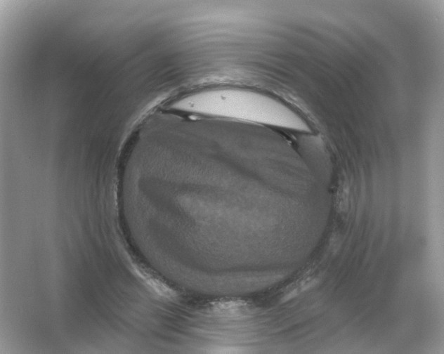 X0000065990446200603242009