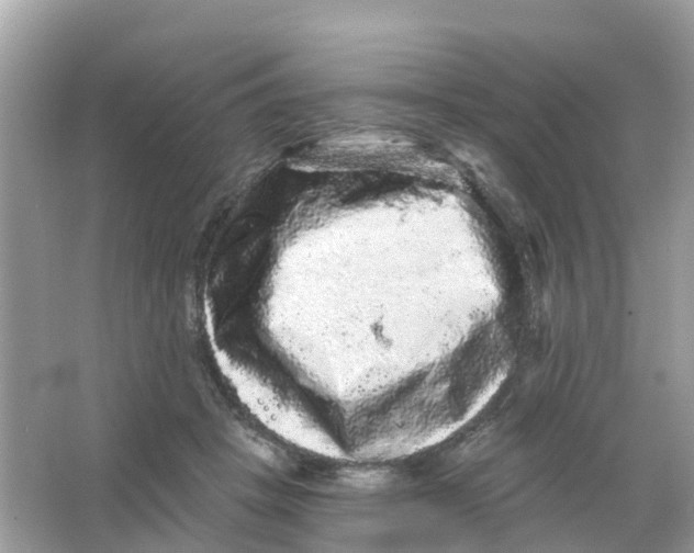 X0000065990457200603242010