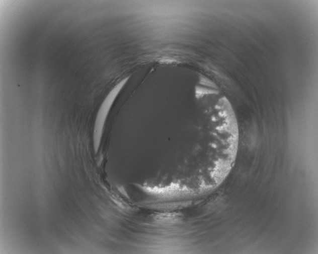 X0000065990465200603242010