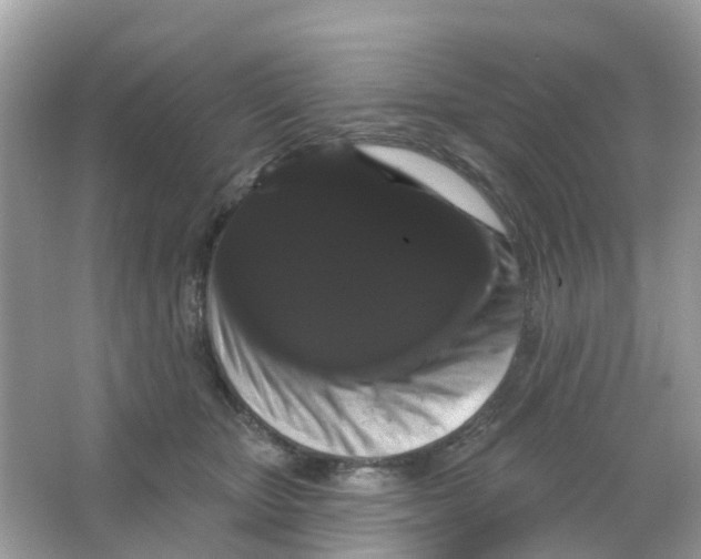 X0000065990467200603242010