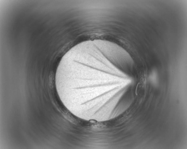 X0000065990468200603242010
