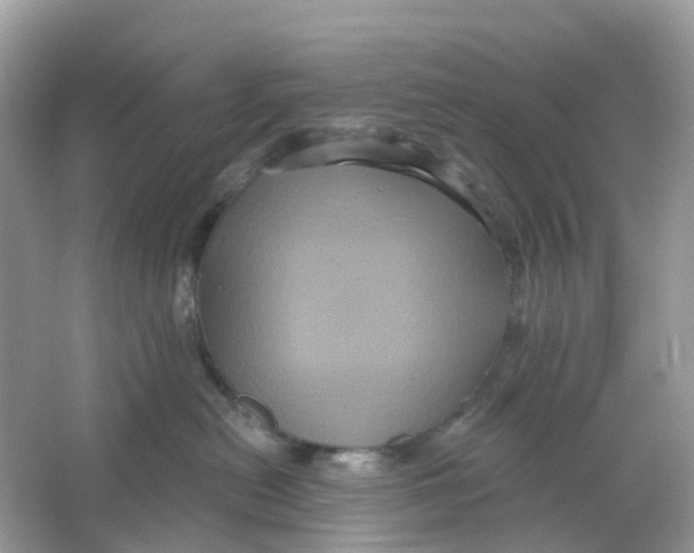 X0000065990478200603242010
