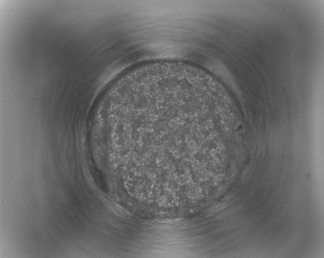 X0000065990483200603242009