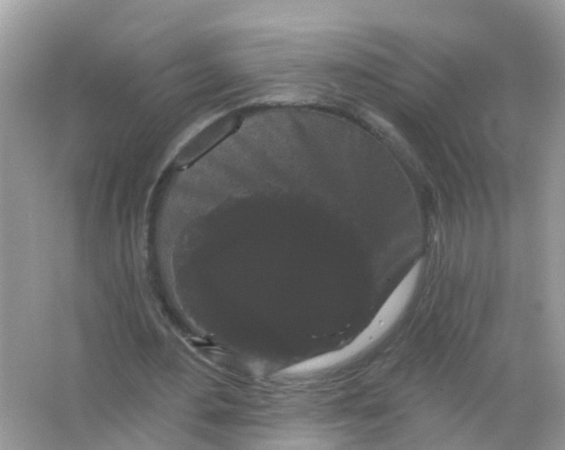X0000065990484200603242009