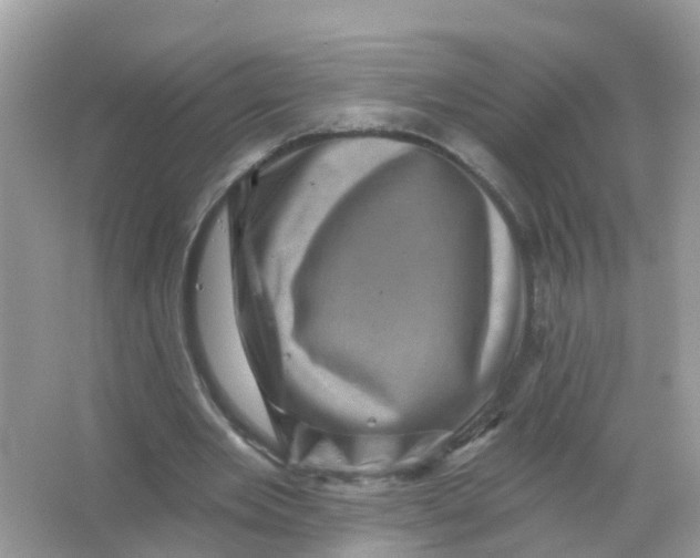 X0000065990485200603242009