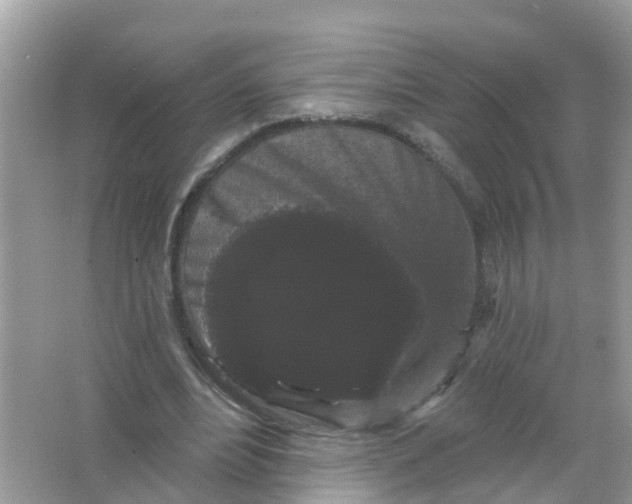 X0000065990488200603242009