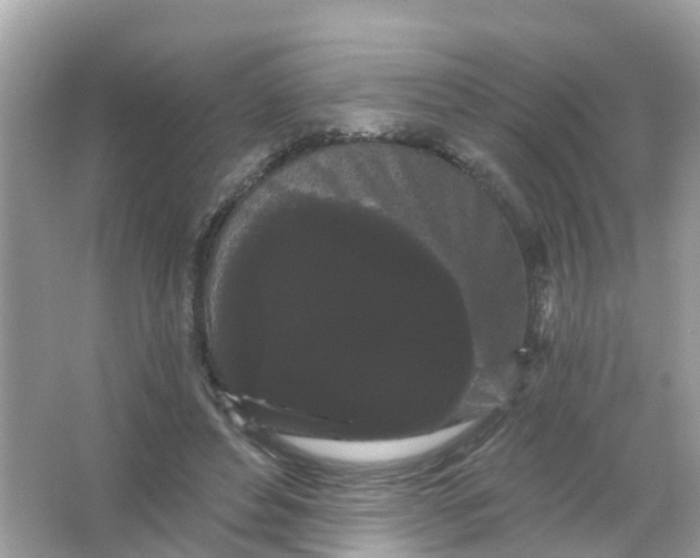 X0000065990496200603242009