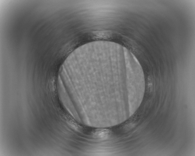 X0000065990514200603242009