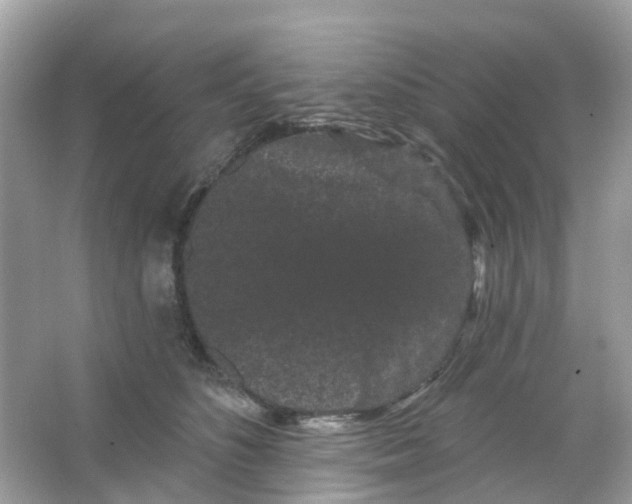 X0000065990516200603242009