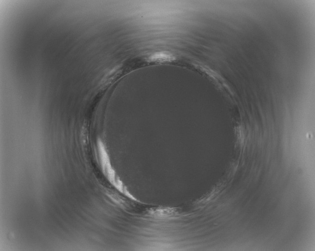 X0000065990517200603242009