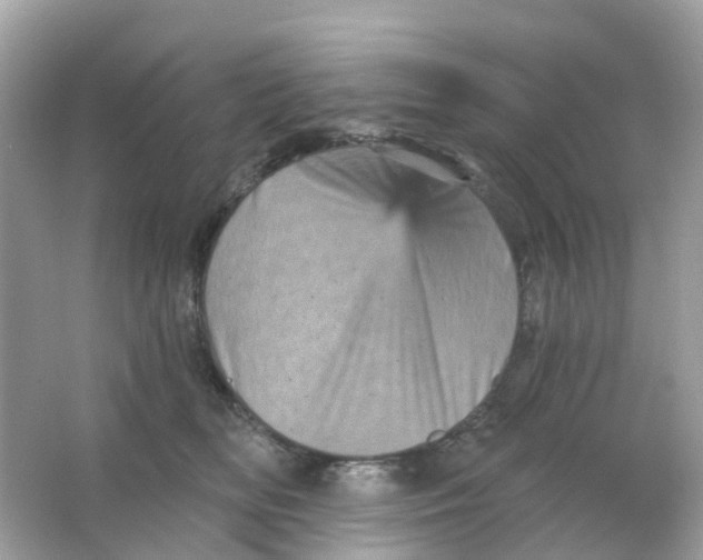 X0000065990518200603242009