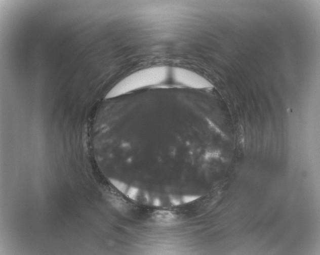X0000065990519200603242009