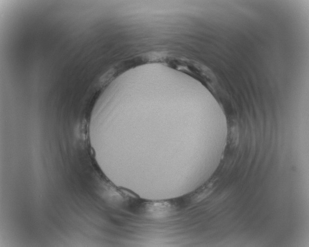 X0000065990525200603242009
